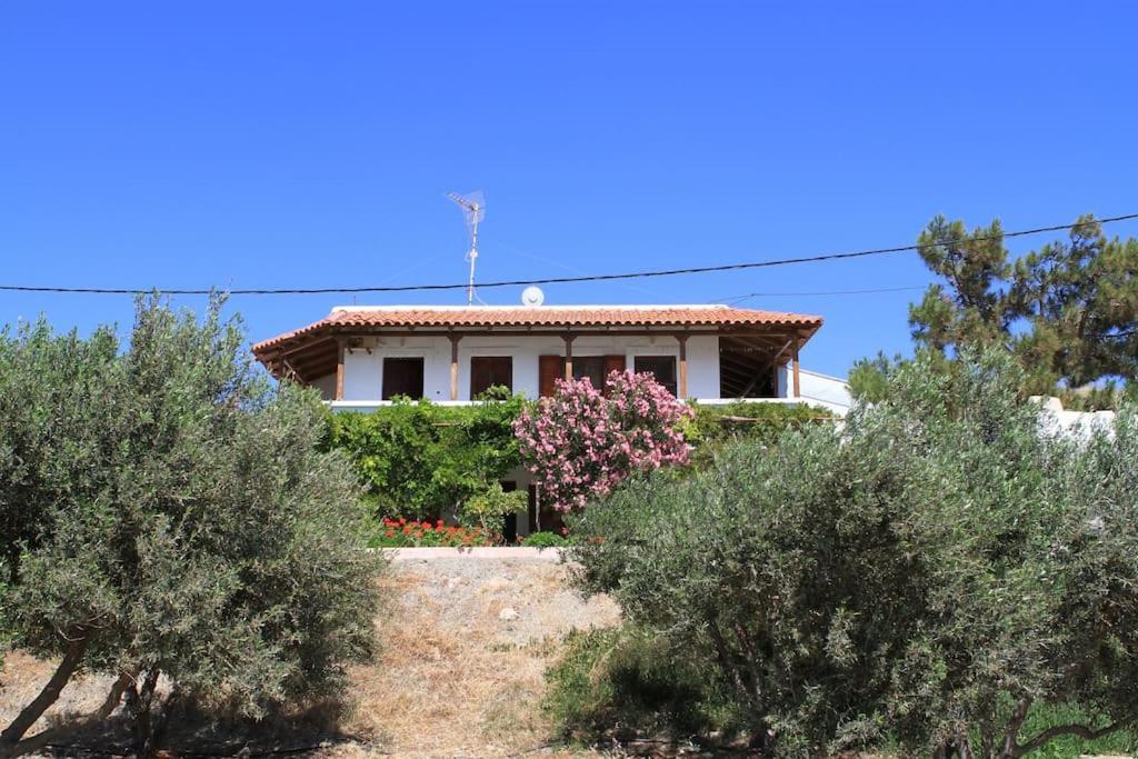 Traditional Olive House Makrýgialos Exteriör bild